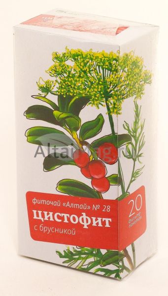Изображение товара Фиточай Алтай №28 «Цистофит с брусникой», №20 пак Фиточай Алтай №28 «Цистофит с брусникой», №20 пак фотография